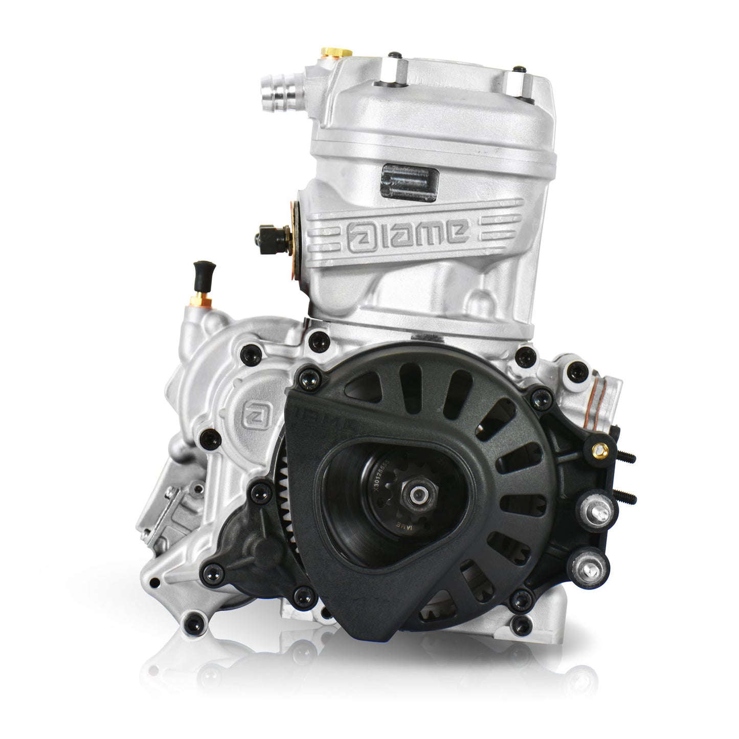 IAME X30 125 cc